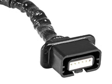 Load image into Gallery viewer, Photo - Unmounted